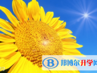 宜賓2022年今年中考哪些學校有招生