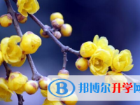 宜賓2022年中考的規則
