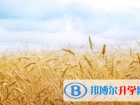 宜賓2022年中考重點復習