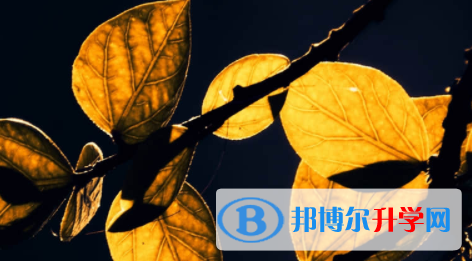 宜賓2022年中考注意事項和技巧