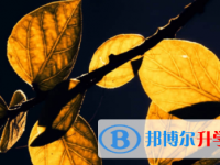 宜賓2022年中考注意事項和技巧