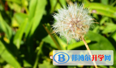 宜賓2022年中考準考證