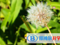宜賓2022年中考準考證