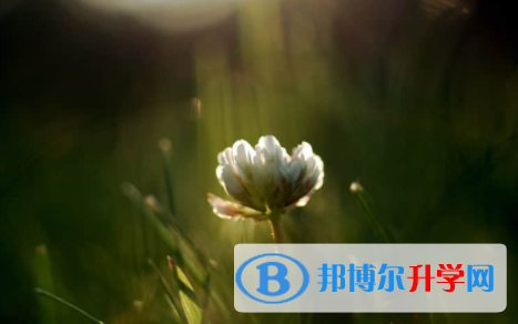 宜賓2022年中考招生學校