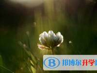 宜賓2022年中考招生學校
