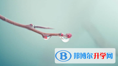 宜賓2022年中考準考證丟了怎么辦