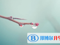 宜賓2022年中考準考證丟了怎么辦