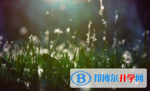 宜賓2022年中考有不有補錄