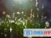 宜賓2022年中考有不有補錄