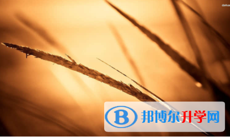 宜賓2022年中考需要準備什么