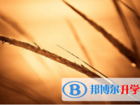 宜賓2022年中考需要準備什么