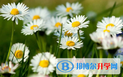 宜賓2022年中考沒考好