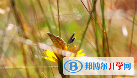 宜賓2022年中考沒考好可以復讀嗎