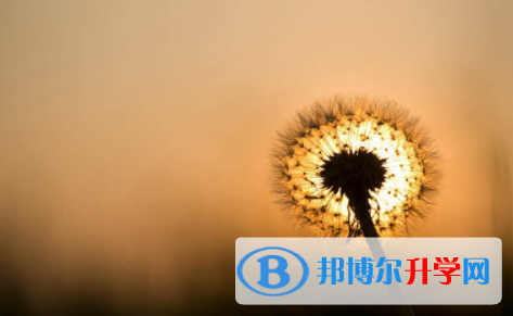 宜賓2022年中考沒有被學校錄取咋辦
