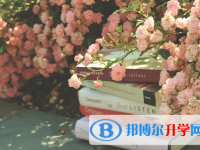 宜賓2022年中考后可以上什么學校