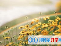 宜賓2022年中考報名自薦信怎么寫