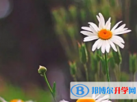 宜賓2022年中考372可以讀的學校