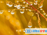 宜賓2022年怎么寫中考自薦書