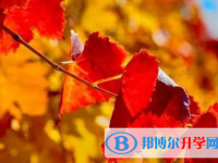 宜賓2022年怎樣中考正常發揮