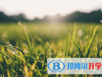 宜賓2022年今年中考時間是幾號