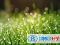 宜賓2022年沒有學籍可以參加中考嗎