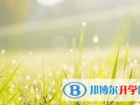 宜賓2022年如果中考沒考上讀什么好