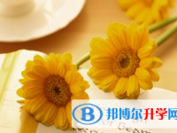宜賓2022年什么是中考調劑生