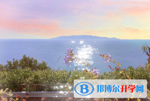 宜賓2022年中考報名是哪個網站