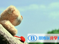 宜賓2022年中考報名網址