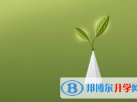 廣安2022年怎樣從網上查詢中考成績