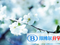 廣安2022年中考成績查詢入口