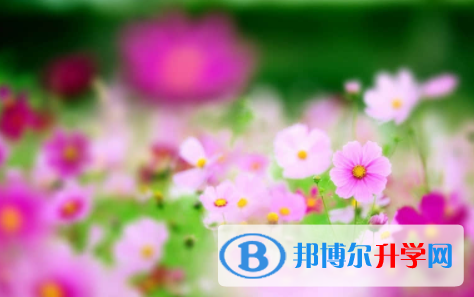 廣安2022年中考成績公布時間