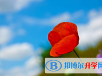 廣安2022年中考成績什么時候出來