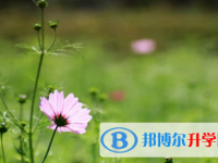 廣安2022年中考成績怎么查詢
