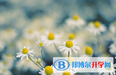 廣安2022年中考成績怎么算