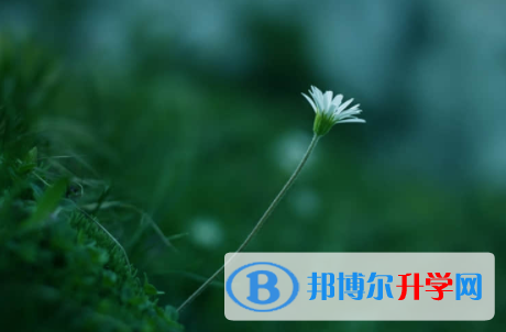 廣安2022年中考體育成績對照表