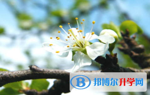 廣安2022年中考報名平臺