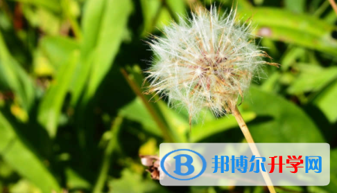 廣安2022年中考報名網站