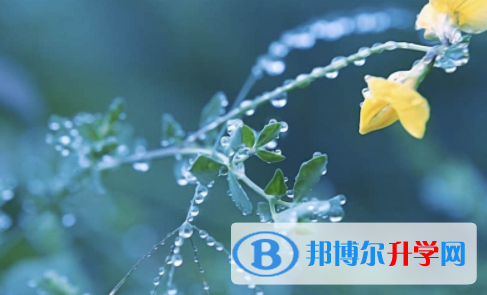 廣安2022年中考報名系統