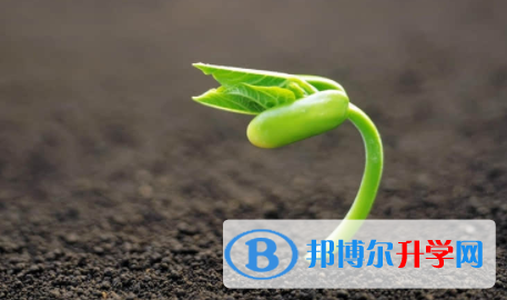 廣安2022年中考成績今年怎么這么高