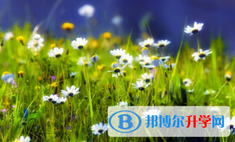 廣安2022年中考規則