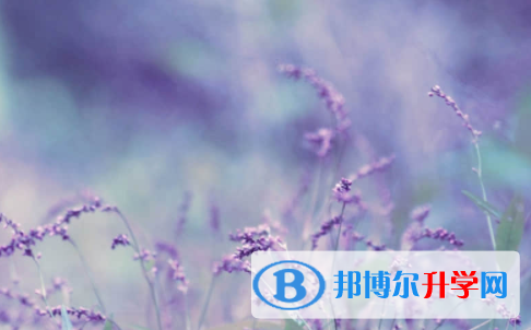 廣安2022年中考錄取查詢入口
