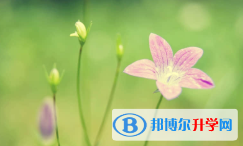 廣安2022年中考錄取結果
