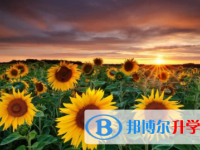 廣安2022年中考網上報名