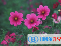 廣安2022年中考招生考試查詢系統