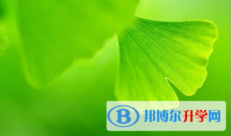 廣安2022年中考體考標準
