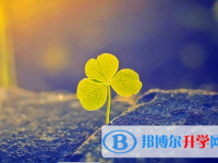 廣安2022年未參加中考可以讀啥學校