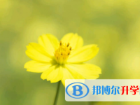 廣安2022年中考調劑志愿