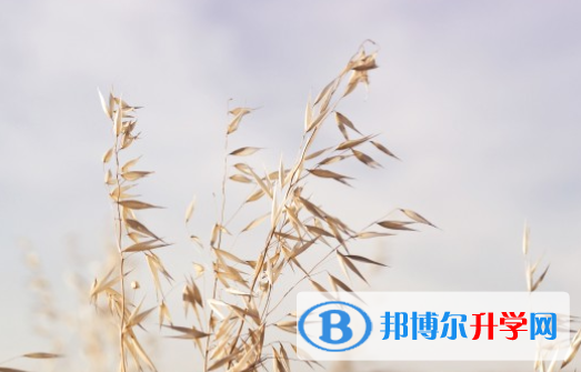 達州2022年中考成績有沒D