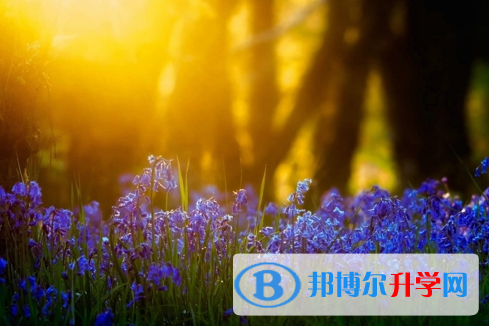 達州2022年中考網上報名